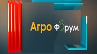 иновации в земеделието - 81166 варианти иновации в земеделието - 70561 варианти