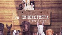 зърнопроизводство - 25484 оферти зърнопроизводство - 40889 оферти