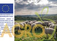 зеленчукопроизводство - 64180 бестселъри | AgroTV зеленчукопроизводство - 36596 бестселъри