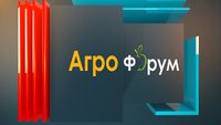 зеленчукопроизводство - 73892 типа зеленчукопроизводство - 55308 типа