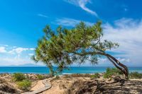 Тайланд почивка - 83316 цени | Arena Travel Тайланд почивка - 3933 цени