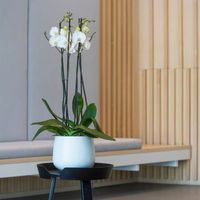 градински дивани - 75092 постижения