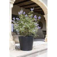 градински столове - 12784 селекции