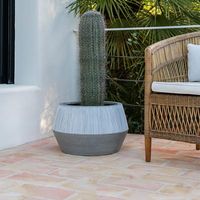 интериорно озеленяване - 63585 новини