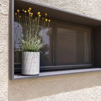 интериорно озеленяване - 82166 промоции