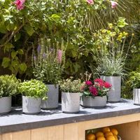 кашпи - 3860 комбинации