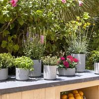 кашпи - 3867 награди