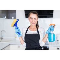 почистване на къщи цени - 17352 постижения