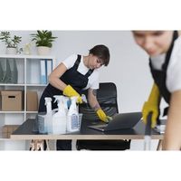 почистване на къщи цени - 41044 постижения