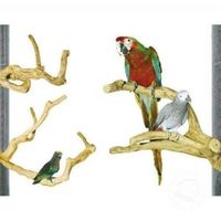 храна за папагали - 22746 варианти