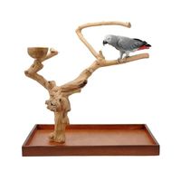 папагал ара - 3138 новини