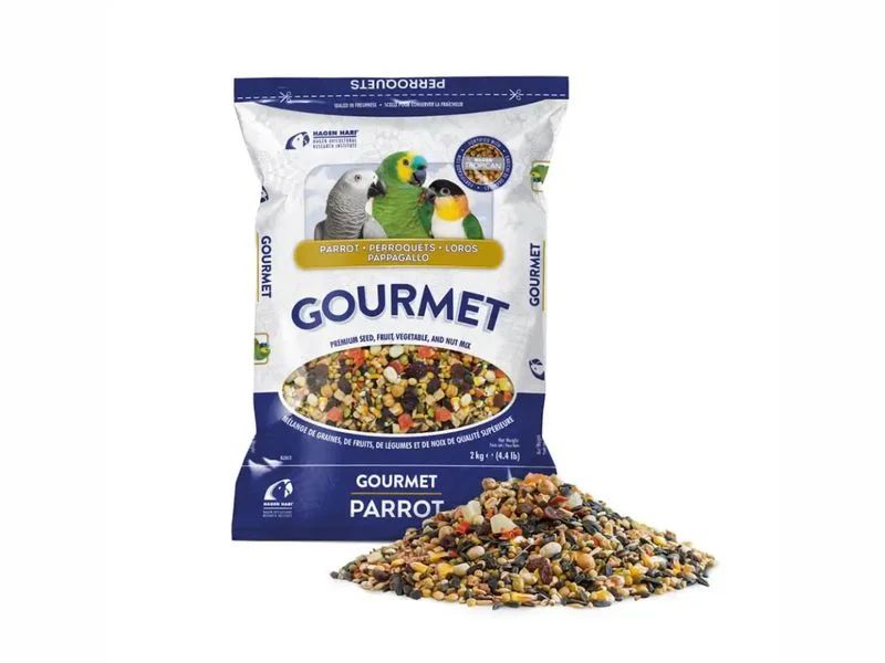 Храна за папагали Жако - 17040 възможности | hagen-hari-bulgaria.com Храна за папагали Жако - 12774 възможности