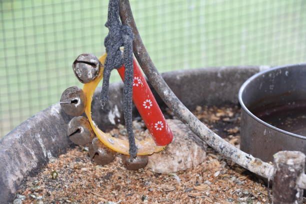 Играчки за вълнисти папагали - 1399 възможности