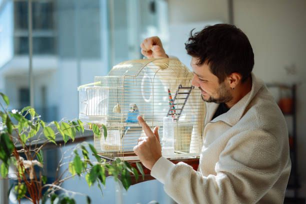 Клетка за вълнисти папагали - 9934 възможности