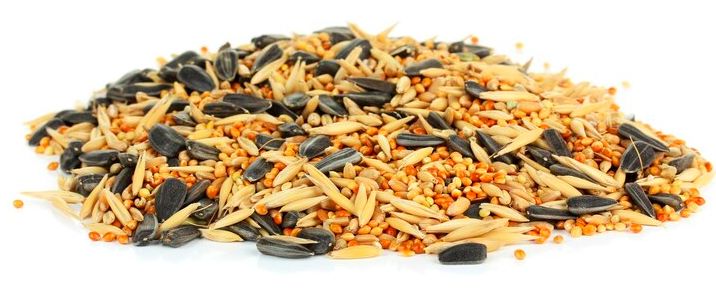 Семена за папагали - 24520 комбинации