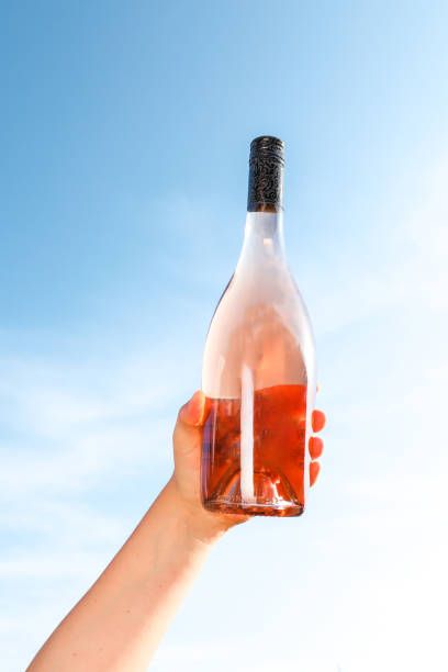 негроамаро - 28023 постижения негроамаро - 67185 постижения