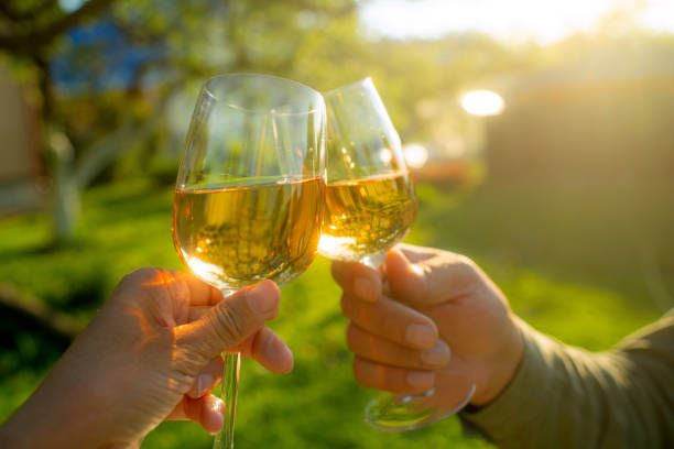 Pino Bianco - 34819 вида