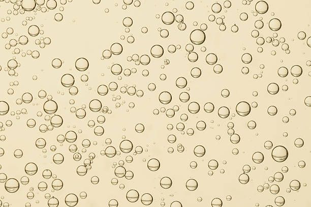 Совиньон блан - 75124 новини Совиньон блан - 19386 новини