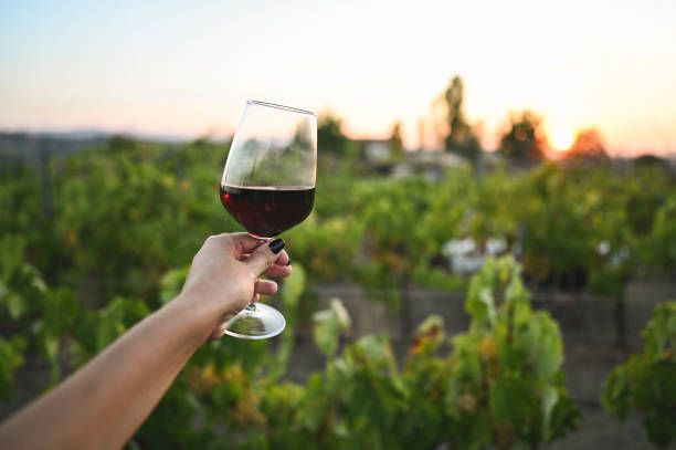 вино каберне - 59607 отстъпки