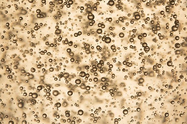 вино просеко тревизо - 12225 селекции