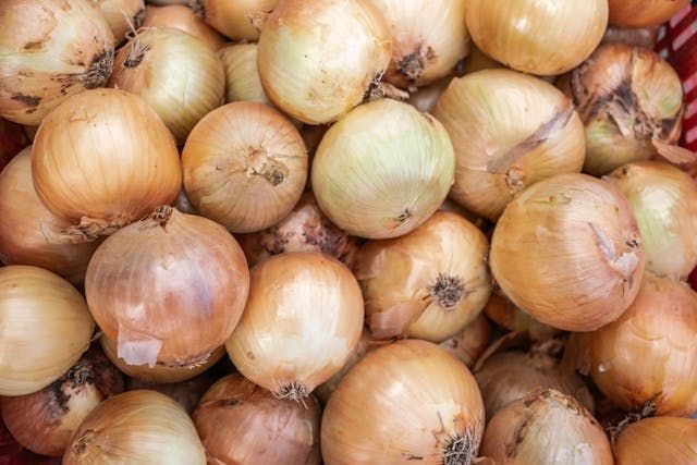 зеленчукова борса - 7564 промоции | agrovest.bg зеленчукова борса - 72388 промоции