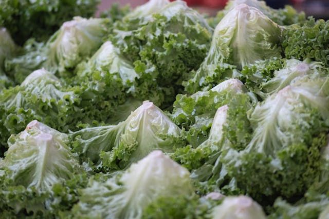 зеленчукова борса - 50384 постижения зеленчукова борса - 81784 постижения