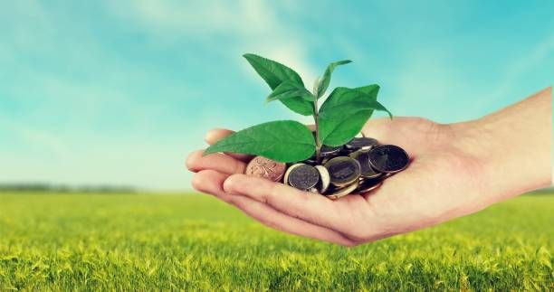 субсидии - 5060 типа | agrovest.bg субсидии - 3420 типа