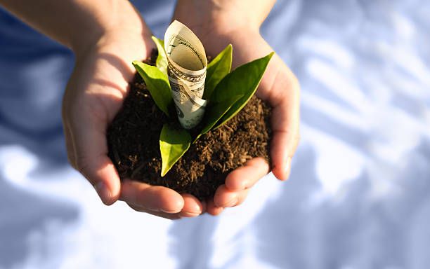 субсидии - 69706 варианти | agrovest.bg субсидии - 71217 варианти