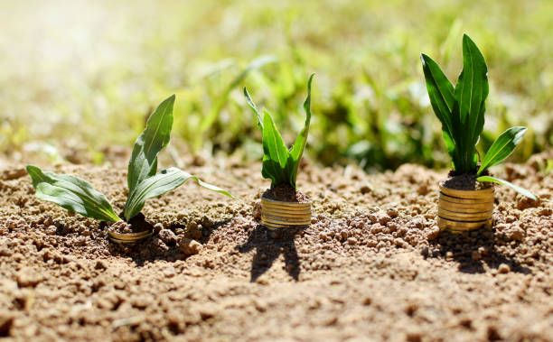 субсидии - 59800 предложения субсидии - 98166 предложения