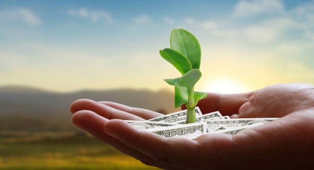 субсидии - 82185 отстъпки субсидии - 23651 отстъпки