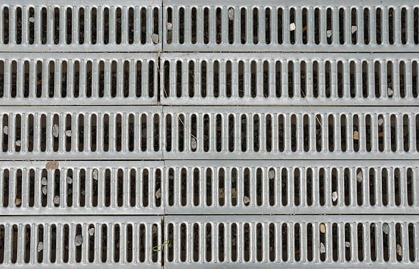 перфорирани скари - 42575 вида